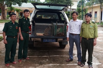 Chuyển giao động vật hoang dã quý hiếm để cứu hộ và thả về môi trường tự nhiên